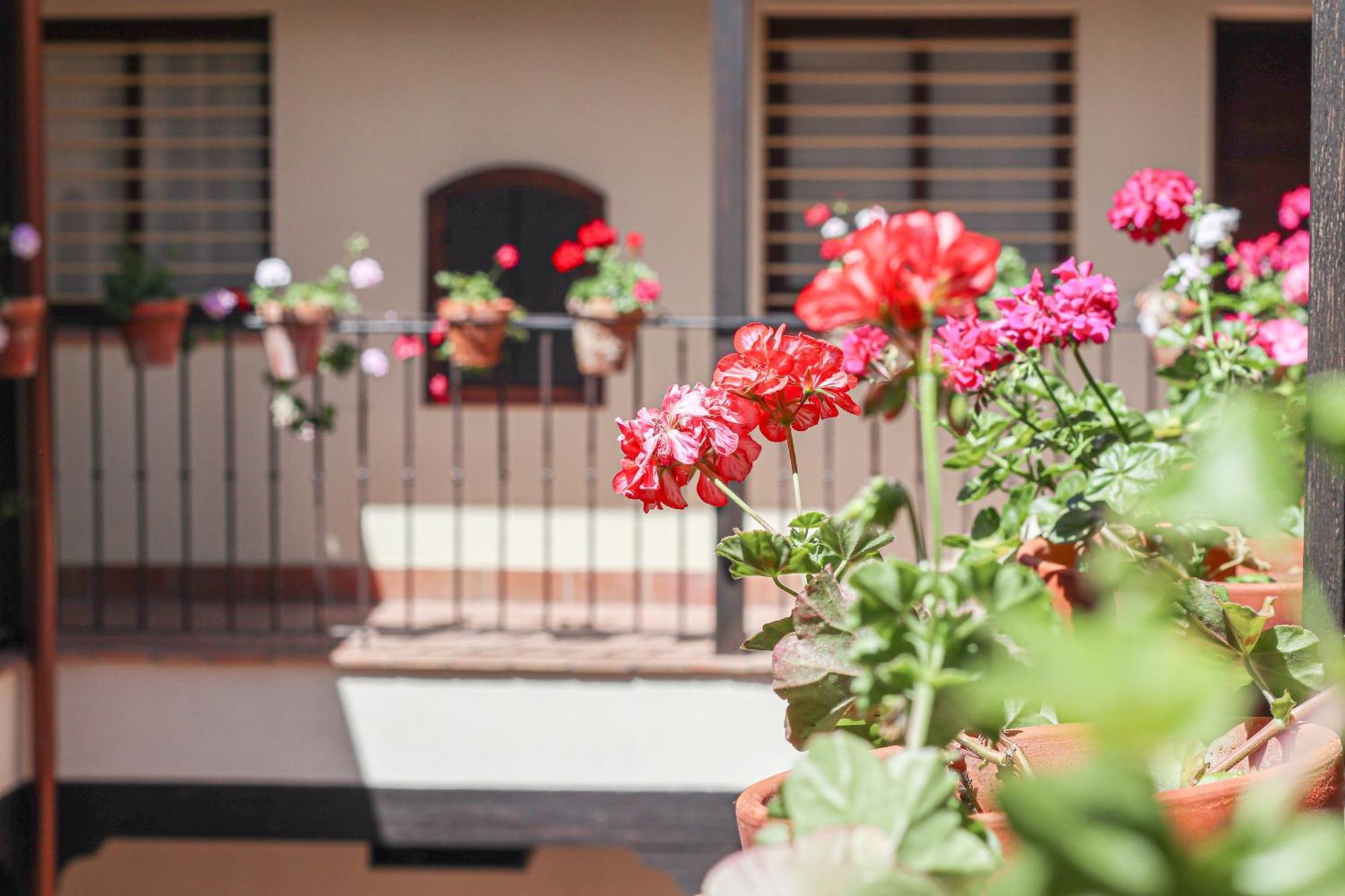 Charming Apt In The Center - 10M Walk Isla Magica Sevilla Eksteriør billede